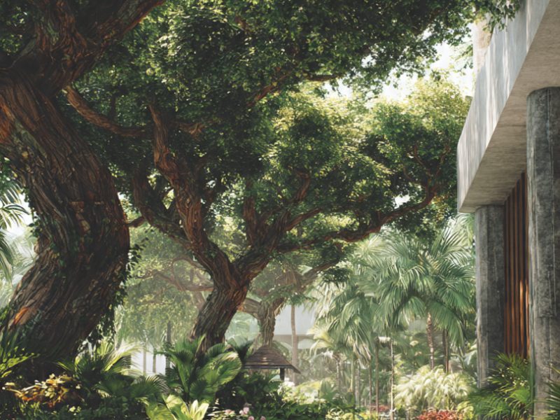 landscaping-architecture-of-a-tropic-environment